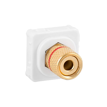 Deta Speaker Pair Wallplate Inserts