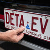 Deta Electric & Hybrid Vehicle Tags With Cleaning Kit - 2 Pack